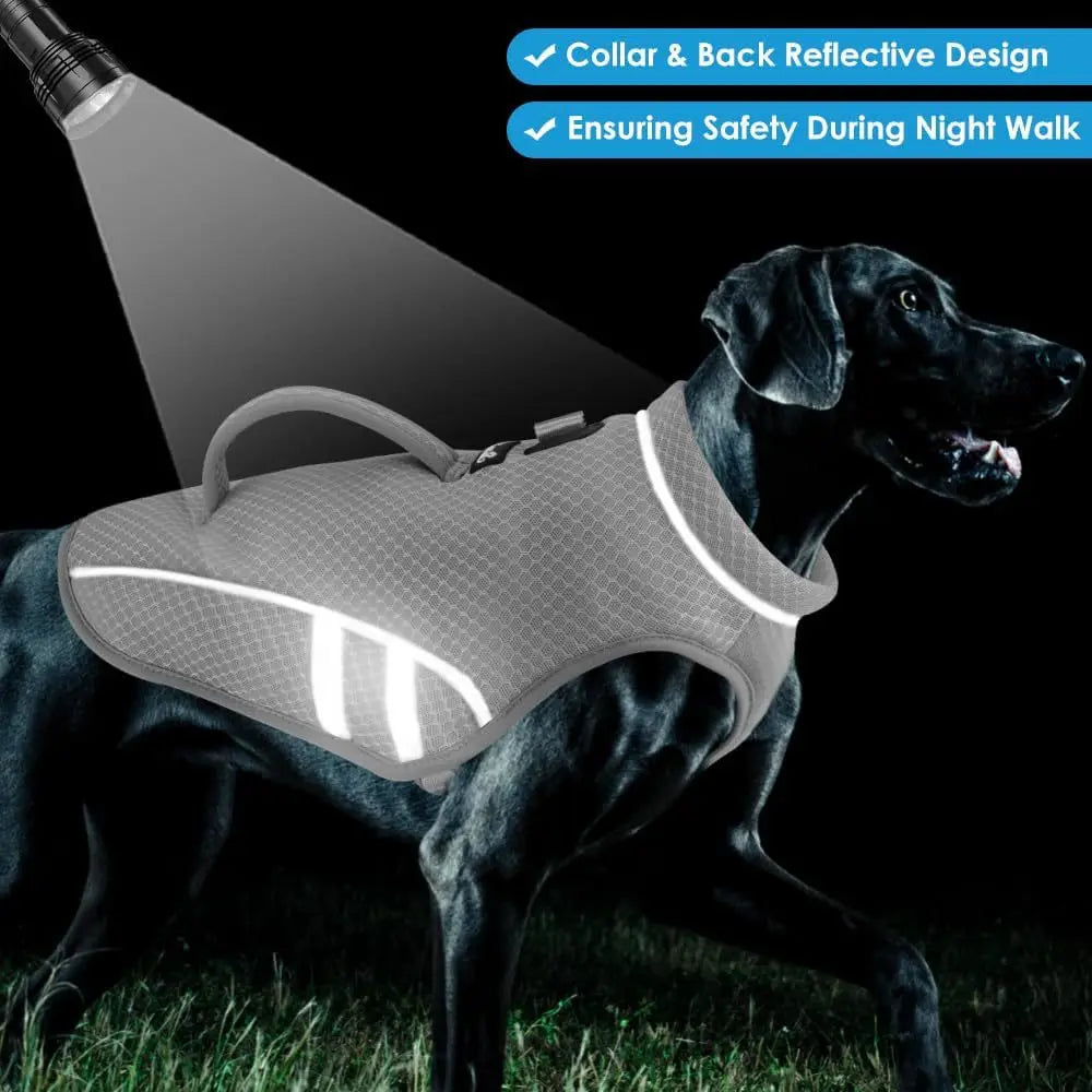 Dog Cooling Vest Harness – Breathable Summer Jacket with Leash Ring, Adjustable Fit for Small Dogs