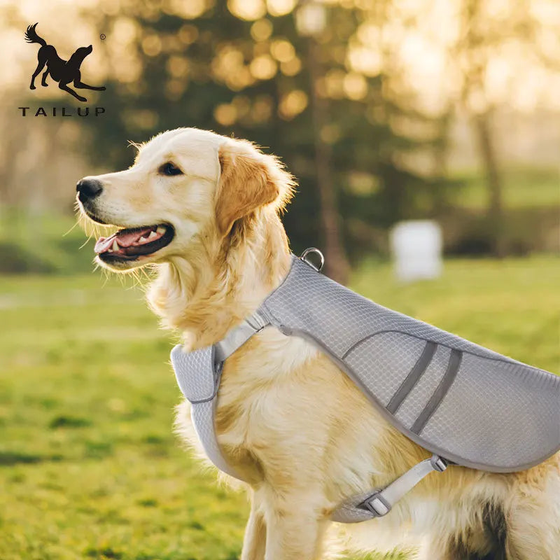 Dog Cooling Vest Harness – Breathable Summer Jacket with Leash Ring, Adjustable Fit for Small Dogs